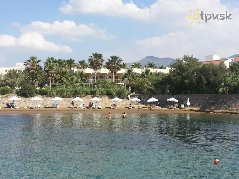 Фото отеля Oscar Resort Hotel 4* Кириния Кипр пляж
