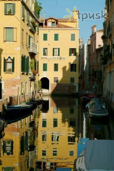Фото отеля Ca'd'oro 3* Венеція Італія інше