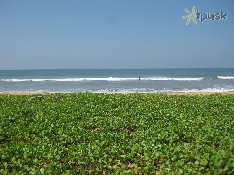 Фото отеля Blue Spring Hotel 3* Ваддува Шри-Ланка пляж