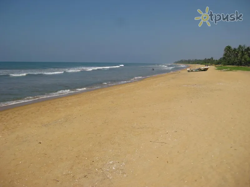 Фото отеля Blue Spring Hotel 3* Ваддува Шрі Ланка пляж