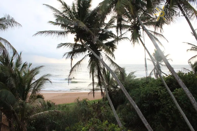 Фото отеля Warahena Beach Hotel 3* Бентота Шри-Ланка пляж