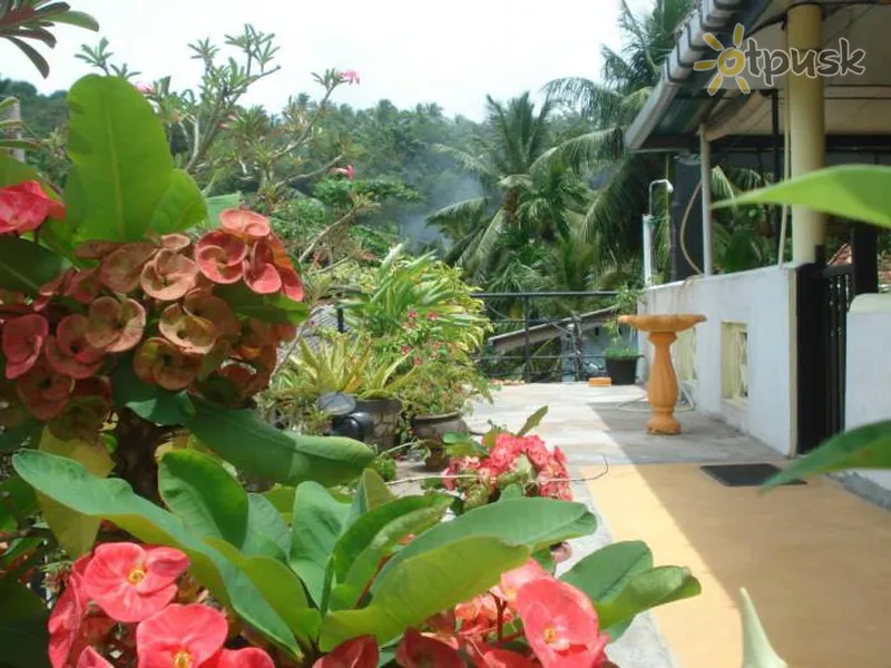 Фото отеля Birdhouse 2* Unawatuna Šri Lanka išorė ir baseinai