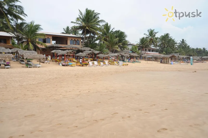 Фото отеля Drifters Guest House 2* Хиккадува Шри-Ланка пляж