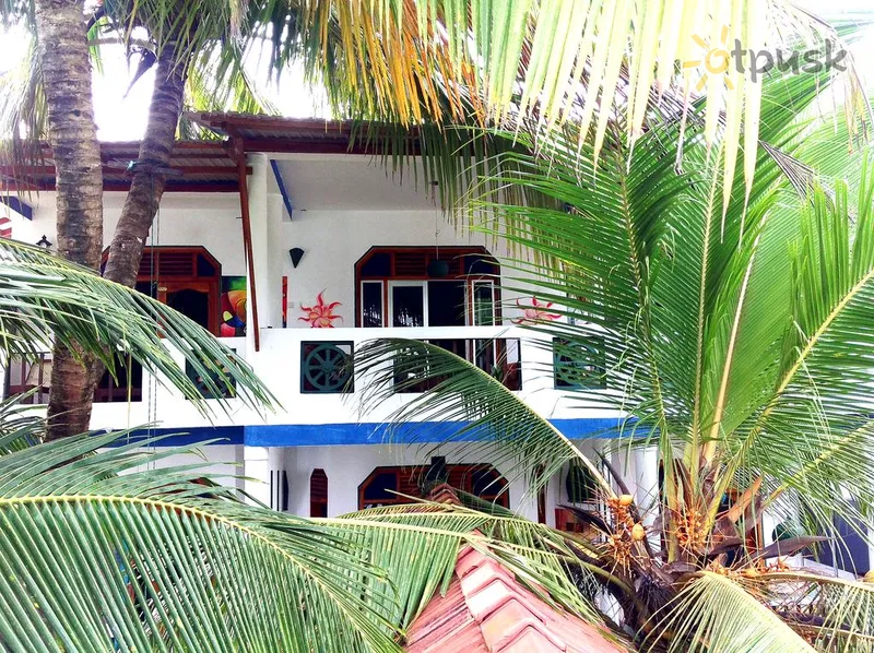 Фото отеля Frangipani Beach Villa 3* Тангалле Шри-Ланка экстерьер и бассейны