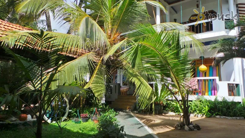 Фото отеля Frangipani Beach Villa 3* Tangalle Šrilanka ārpuse un baseini