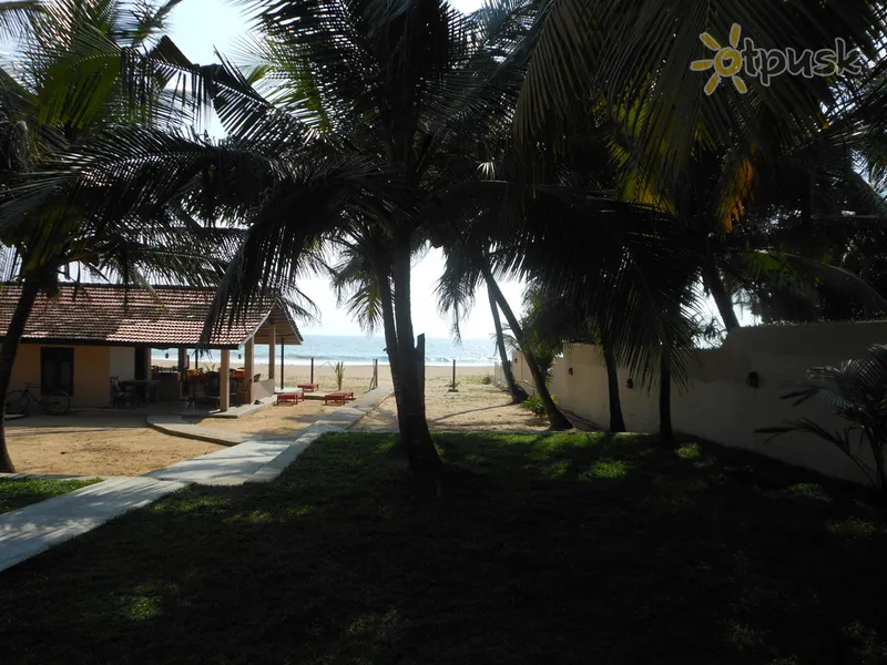 Фото отеля Thiranagama Beach Hotel 2* Хиккадува Шри-Ланка пляж