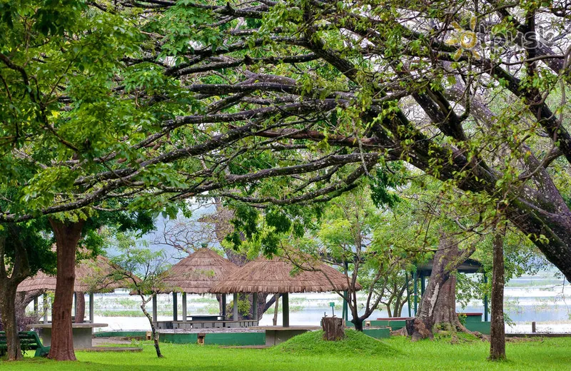 Фото отеля Habarana Village by Cinnamon 4* Дамбулла Шри-Ланка экстерьер и бассейны