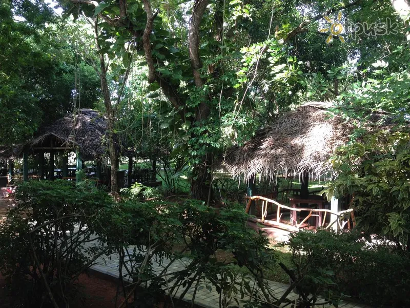 Фото отеля Pelwehera Village Resort 3* Dambulla Šrilanka ārpuse un baseini