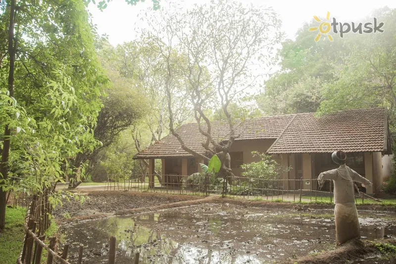 Фото отеля Sigiriya Village 4* Дамбулла Шрі Ланка екстер'єр та басейни