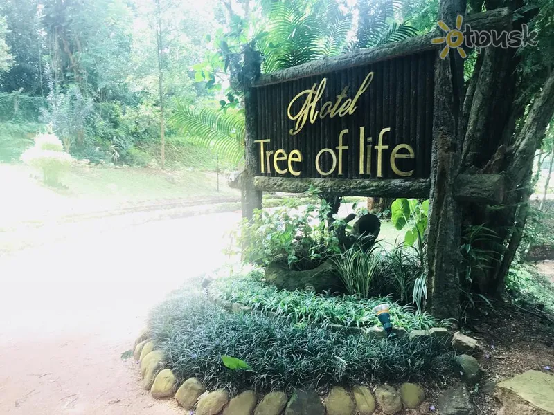 Фото отеля Tree Of Life 4* Kandis Šri Lanka išorė ir baseinai