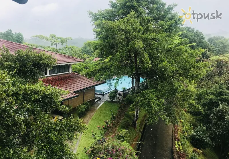 Фото отеля Tree Of Life 4* Канди Шри-Ланка экстерьер и бассейны