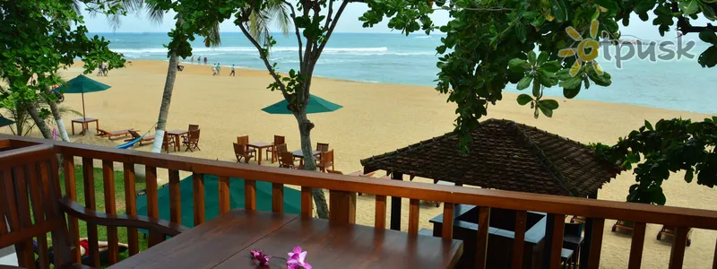 Фото отеля Joes Resort Unawatuna 3* Unavatuna Šrilanka istabas