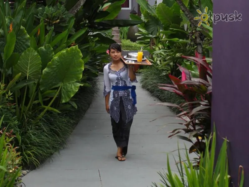 Фото отеля Aria Exclusive Villas & Spa 5* Seminyakas (Balis) Indonezija kita