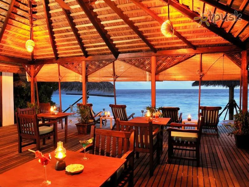 Фото отеля Madoogali 4* Ari (Alifu) atols Maldīvija bāri un restorāni