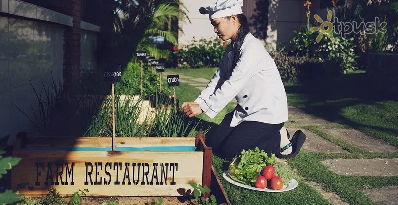 Фото отеля Green Organic Villas 4* Фант'єт В'єтнам бари та ресторани