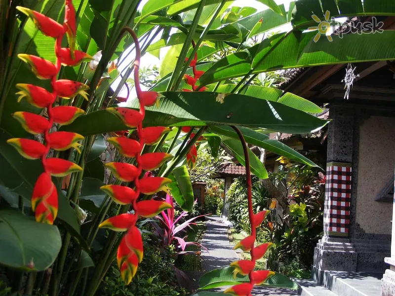Фото отеля Jalan Jalan Villa & Spa 4* Ubuda (Bali) Indonēzija cits