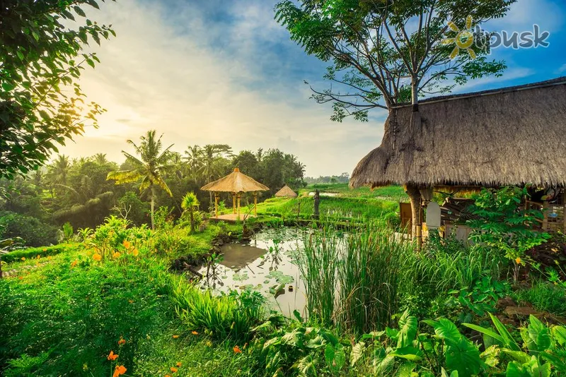 Фото отеля Desa Visesa Ubud 5* Ubuda (Bali) Indonēzija ārpuse un baseini