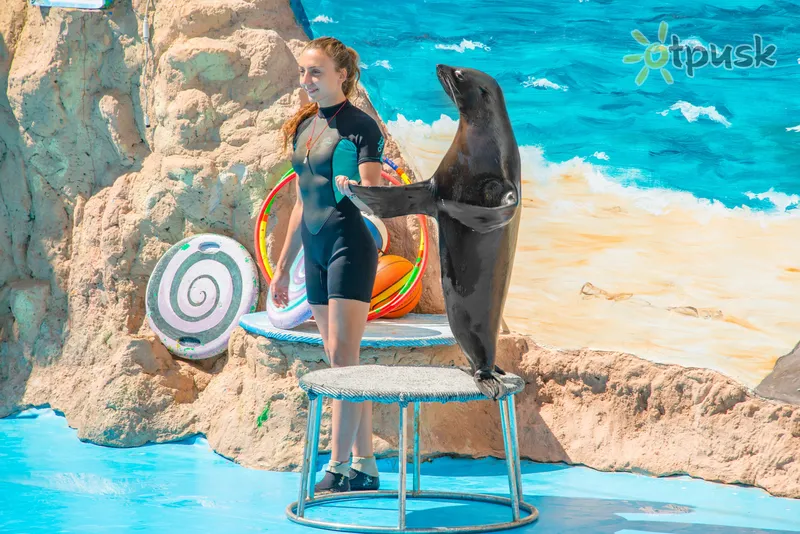 Фото отеля Resort & SPA Hotel NEMO with dolphins 5* Odesa Ukraina sports un atpūta