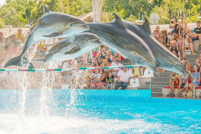 Фото отеля Resort & SPA Hotel NEMO with dolphins 5* Одеса Україна спорт і дозвілля