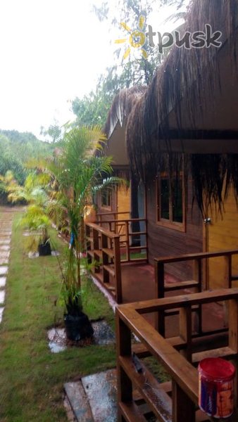 Фото отеля The Bodhi Village 3* Северный Гоа Индия экстерьер и бассейны