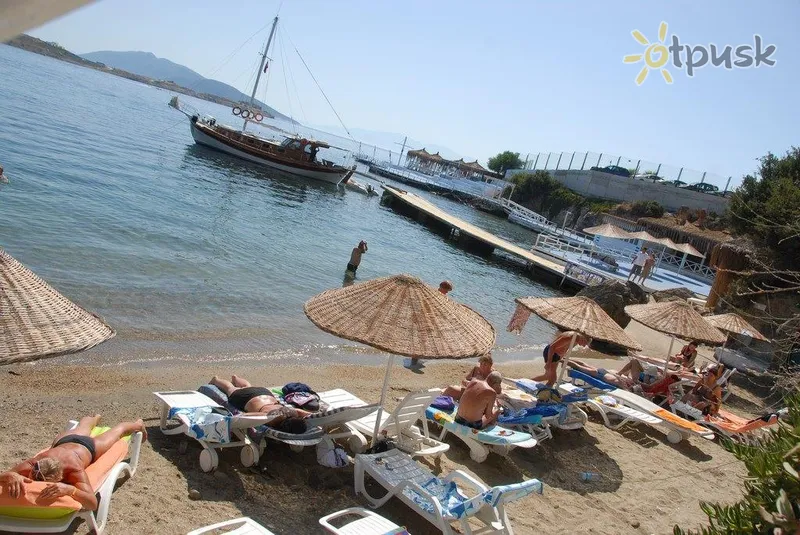 Фото отеля Peda Akvaryum Beach Hotel 3* Бодрум Турция пляж