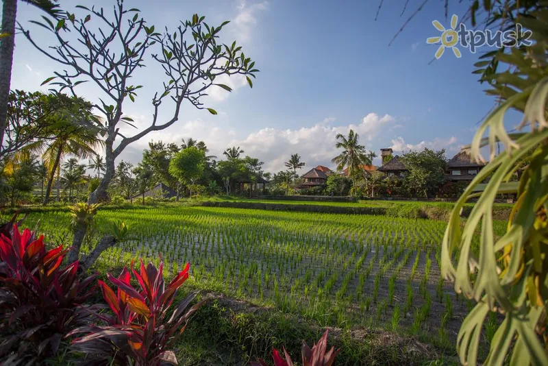 Фото отеля Agung Raka Resort & Villa 4* Ubuda (Bali) Indonēzija cits