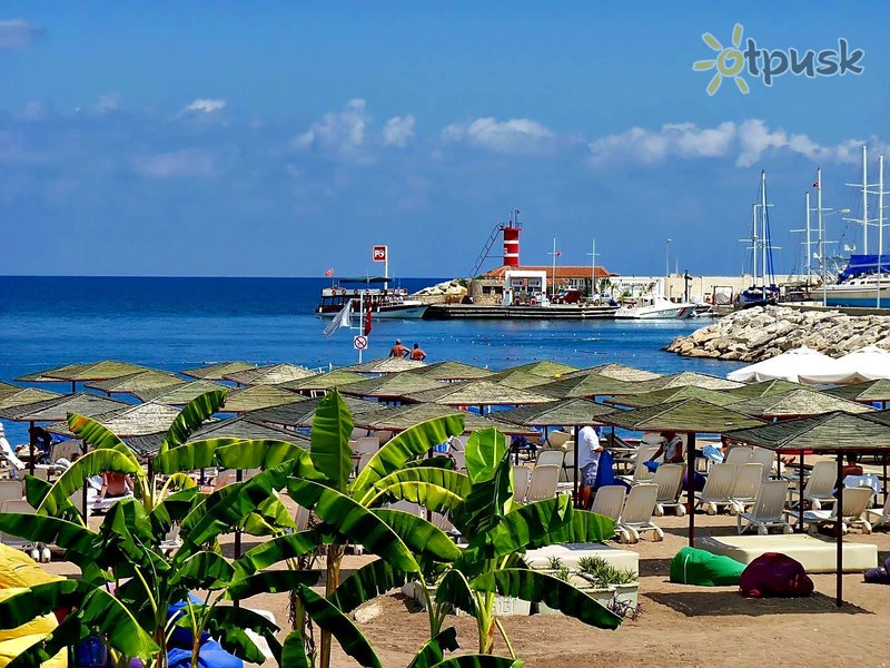 Фото отеля Havana Hotel 4* Кемер Турция пляж