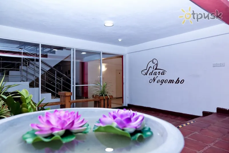 Фото отеля Adara Negombo 3* Негомбо Шри-Ланка лобби и интерьер