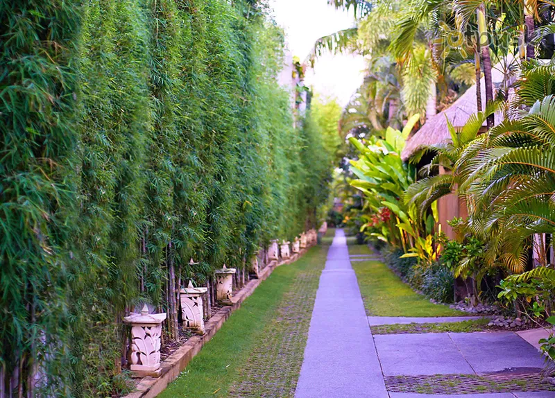 Фото отеля Maya Sayang Seminyak 4* Seminyakas (Balis) Indonezija kita