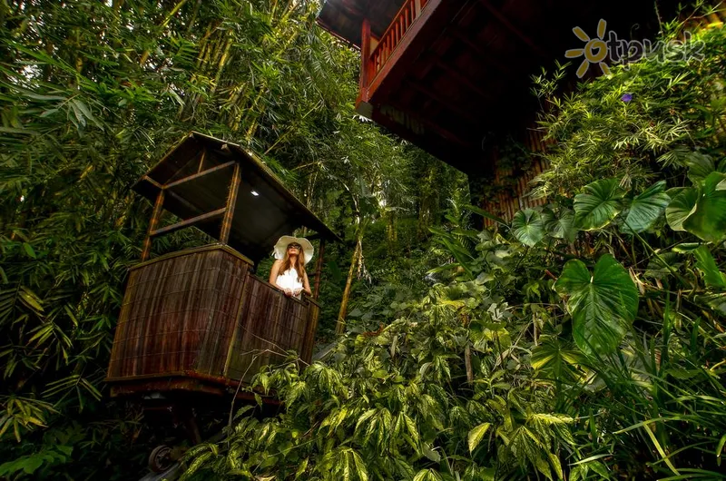 Фото отеля Nandini Jungle by Hanging Gardens 4* Убуд (о. Балі) Індонезія інше