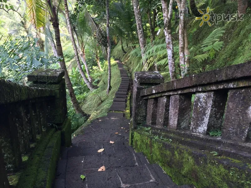 Фото отеля Nandini Jungle by Hanging Gardens 4* Убуд (о. Бали) Индонезия прочее