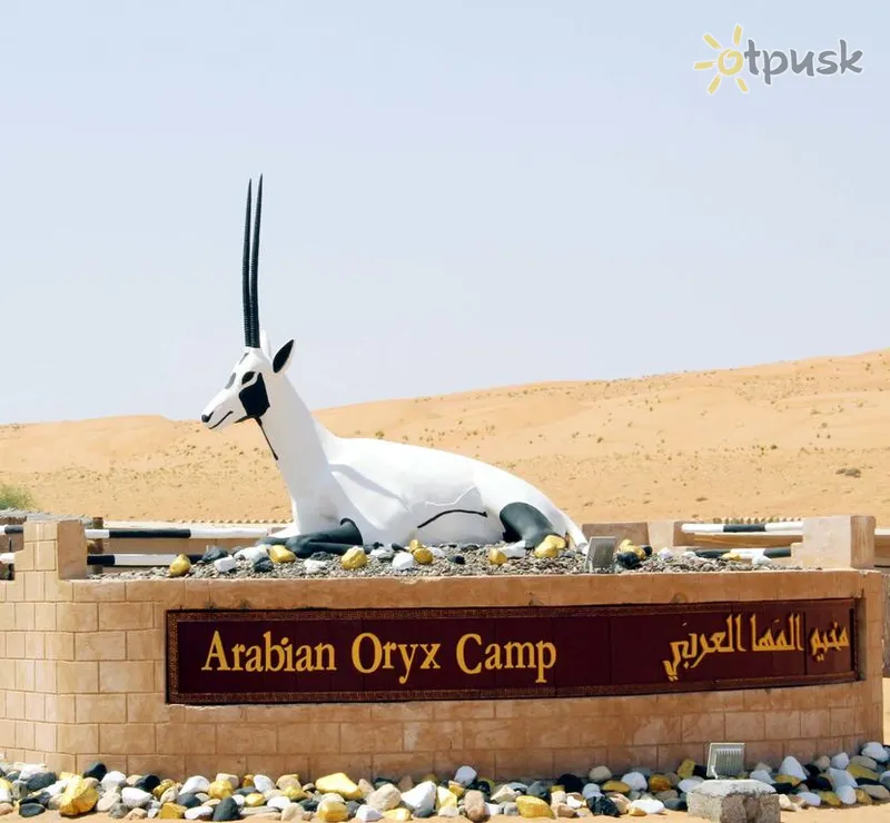Фото отеля Arabian Oryx Camp 3* Wahiba Omanas kita