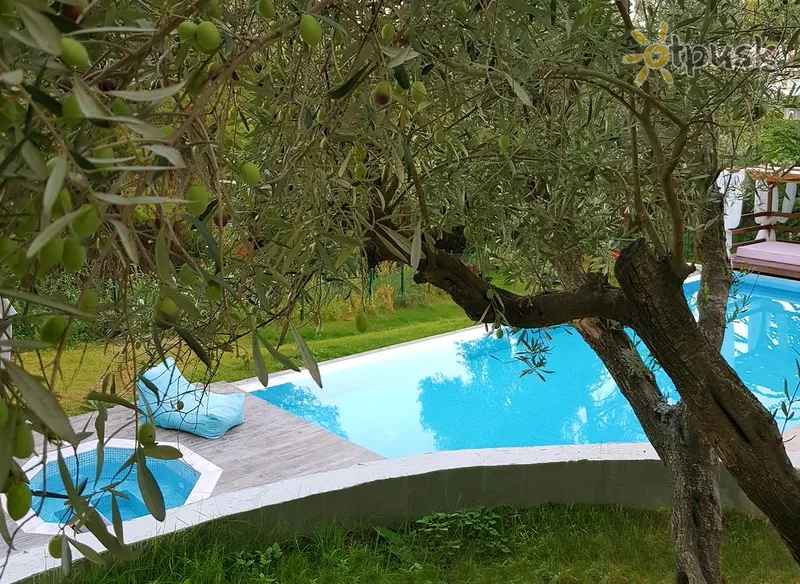 Фото отеля Avatel Eco Lodge 3* Халкидики – Кассандра Греция экстерьер и бассейны