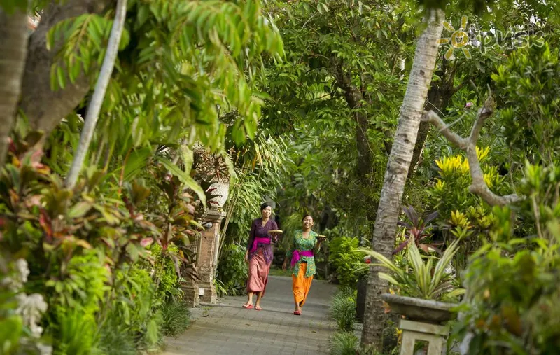 Фото отеля Taman Harum Cottages 3* Ubuda (Bali) Indonēzija cits