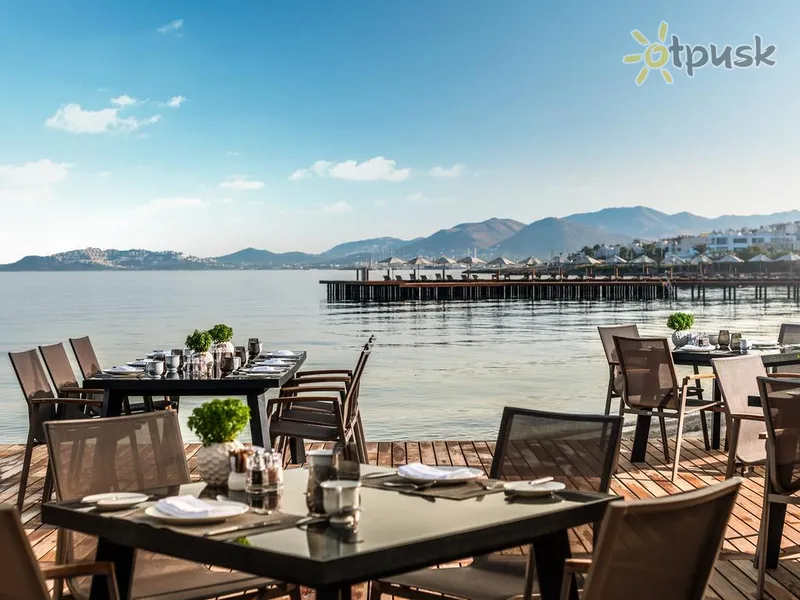 Фото отеля Swissotel Resort Bodrum Beach 5* Бодрум Турция бары и рестораны