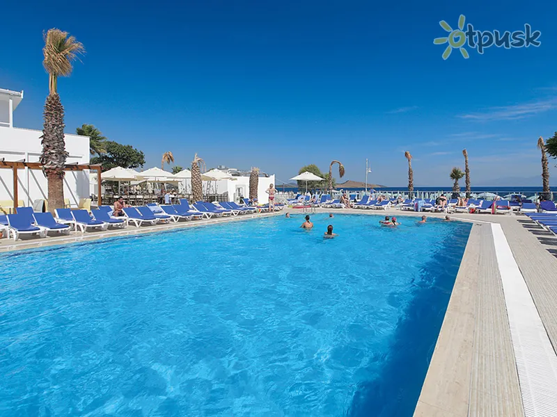 Фото отеля Petunya Beach Resort 4* Бодрум Туреччина екстер'єр та басейни