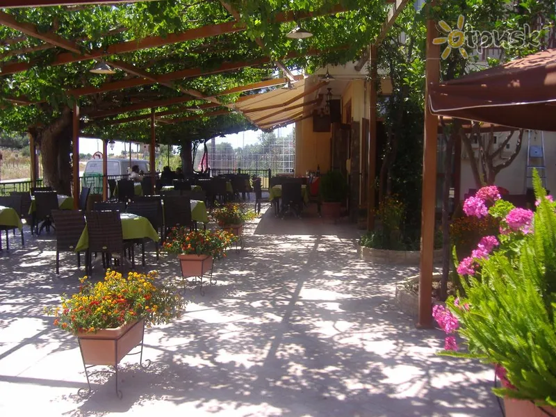 Фото отеля Zorbas Hotel 3* Peloponesas Graikija barai ir restoranai
