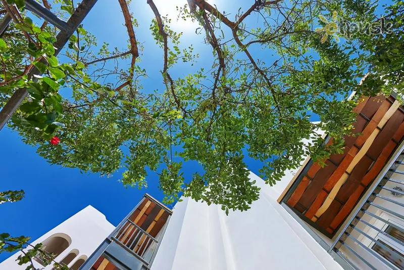 Фото отеля Arminda Hotel & Spa 4* Kreta – Heraklionas Graikija kita