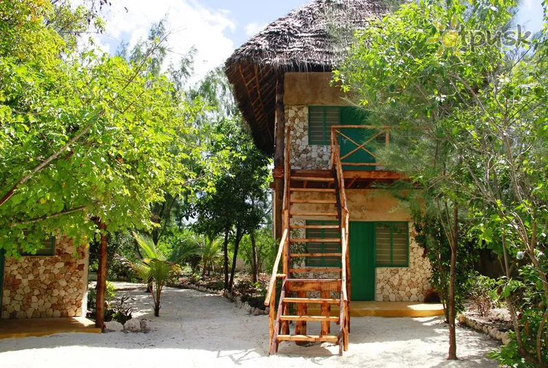 Фото отеля Demani Lodge Zanzibar 3* Lappuse Tanzānija ārpuse un baseini