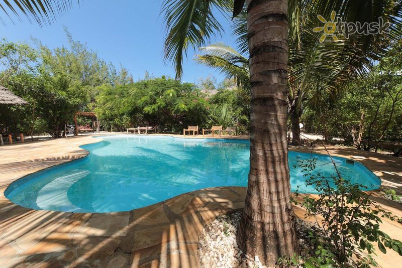 Фото отеля Demani Lodge Zanzibar 3* Паже Танзания экстерьер и бассейны