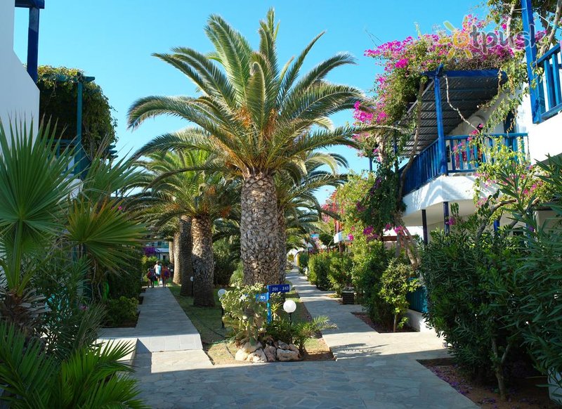 Фото отеля Stella Village Hotel & Bungalows 4* о. Крит – Ираклион Греция прочее