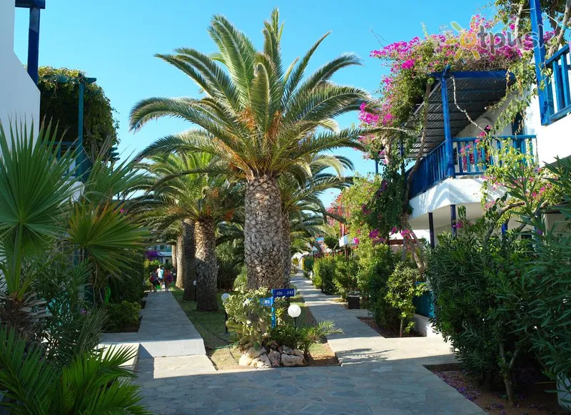 Фото отеля Stella Village Seaside Hotel 4* о. Крит – Ираклион Греция прочее