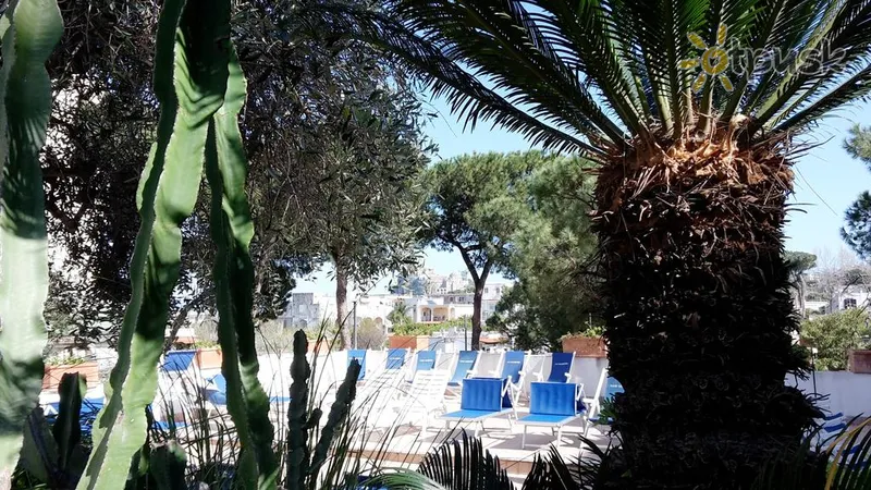 Фото отеля San Valentino Terme Hotel 4* apie. Ischia Italija išorė ir baseinai