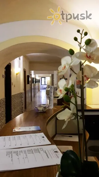 Фото отеля San Valentino Terme Hotel 4* о. Іскья Італія лобі та інтер'єр