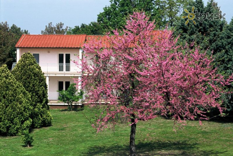 Фото отеля Ai Pini Resort 3* Медулин Хорватия прочее