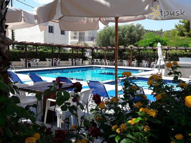 Фото отеля Aphrodite Hotel 3* Халкидики – Кассандра Греция бары и рестораны