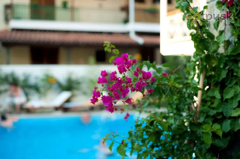 Фото отеля Neda Hotel 2* Олимпия Греция экстерьер и бассейны