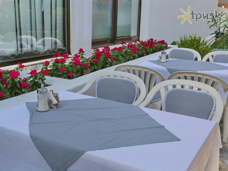 Фото отеля Dionysos Inn Hotel 3* Халкидики – Кассандра Греция бары и рестораны
