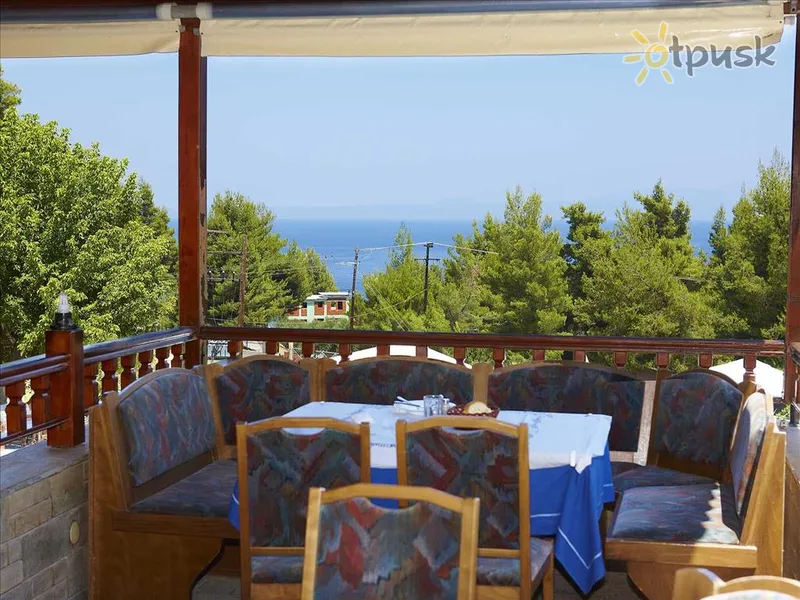 Фото отеля Forest Park Hotel 3* Халкідікі – Кассандра Греція бари та ресторани