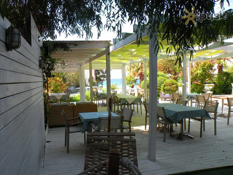 Фото отеля Ioli Apartments Fourka Beach 2* Chalkidikė – Kasandra Graikija barai ir restoranai